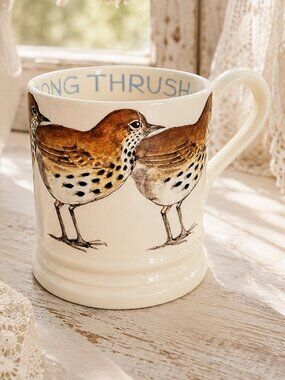 Rare Vintage Early Emma Bridgewater Song Thrush Bird Half Pint Mug